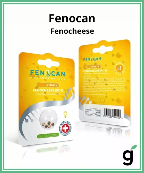 Fenocan